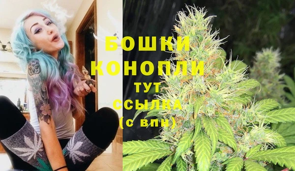 ГАЛЛЮЦИНОГЕННЫЕ ГРИБЫ Арсеньев