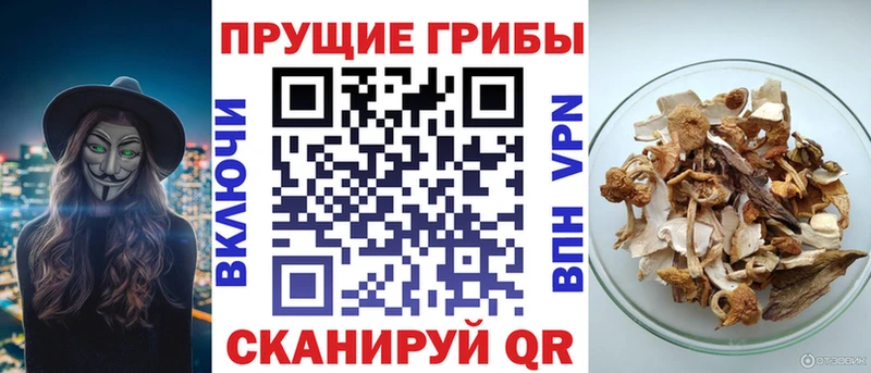 Купить закладки  Черепаново  Псилоцибиновые грибы GOLDEN TEACHER 